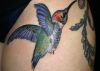 hummingbird images tattoos